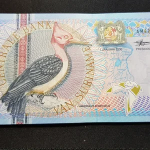 Bancnotă 5 Gulden 2000, SURINAM, UNC