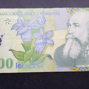 Bancnotă 10.000 Lei 2001, ROMÂNIA, FI