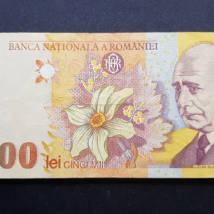 Bancnotă 5.000 Lei 1998, ROMÂNIA, FI